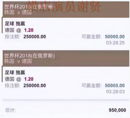世界杯全球总决赛背景下的世界杯投注平台推荐盘点分析与平台排行